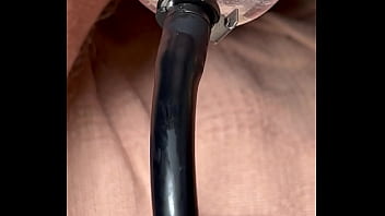 Brighteyes - update #6 - IMG 4779 - Aug 21, 2023