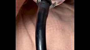 Brighteyes - update #6 - IMG 4779 - Aug 21, 2023