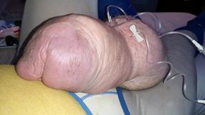 Cockzilla s return after adding 2liters glucose