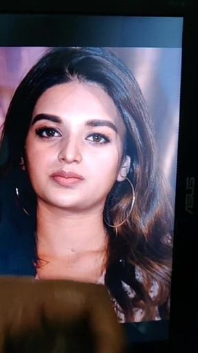 Nidhi agarwal quality