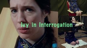 Ivy in Interrogation