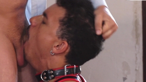 Bursting with Carnal Hunger beneath the Harness