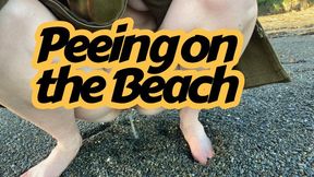 Winter Beach Peeing