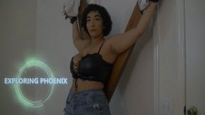 Exploring Phoenix (Small)