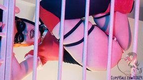 The View From Harley's Cage [HD]