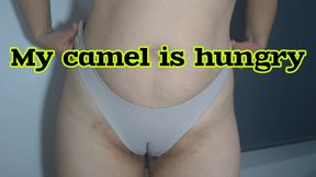 My cameltoe