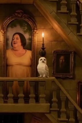 Spellbound - Library Look up