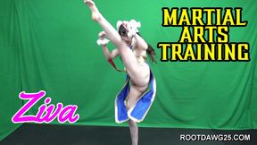 Ziva - Martial Arts Training