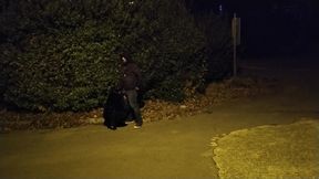 She Asked Me to Stop the Car so She Could Suck Me off