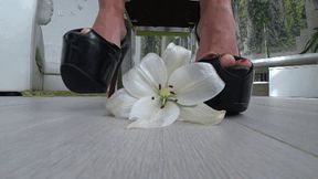 Crushed a white flower with platform shoes dd