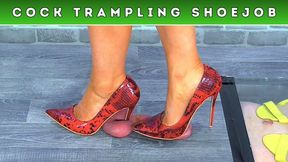 Crushing The Cum From Your Balls Under My Red Snakeskin Heels (146) - Cock Cam - Cock Trample Trampling CBT Crush Shoejob - Legacy Clip