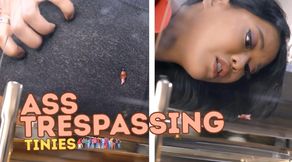 ASS TRESPASSING TINIES