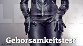 LEDER: Gehorsamkeitstest
