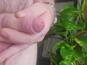 REQUEST - rolling around my foreskin on my flaccid cock