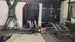 Victoria cat burglar Captured and taken prisoner