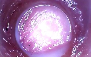 Silvia deluxe sticks camera inside her vagina