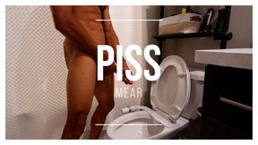 P I S S