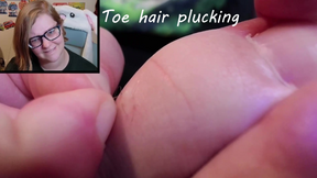 Toe hair plucking