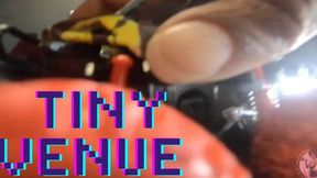 Giantess Crew – CJ Tiny Venue