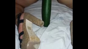 Pepino grosso na buceta