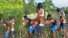 they were asked to go and uproot cassava and they ended up having sex in the farm.