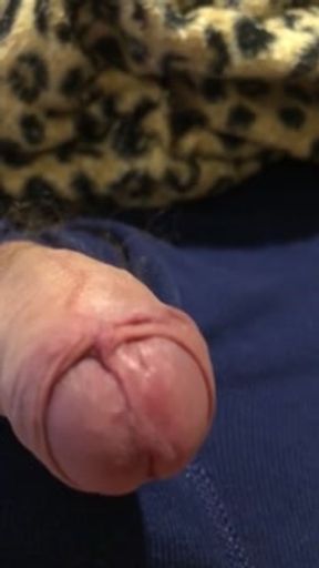Small uncut cock gets hard / small uncut dick