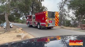 Thick Fat Hung Papi Cholo Thug Fuck Bred Big Uncut Cock Breeding Chubby Skinny Twink