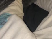 Your GoodBoy Has A Quickie