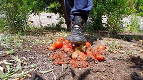 Tomato crushing fun in metal cleats