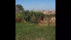 travesti do pau grande perdida no mato, sabrina prezotte travesti brasileira gozando gostoso