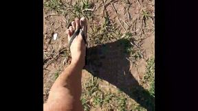 travesti do pau grande perdida no mato, sabrina prezotte travesti brasileira gozando gostoso