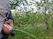 Locked guy is risky pissing near the public road.
