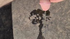 Just a bit of fun in the sun, and a bit of pee action _)