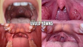 Uvula yawns - OnlyVanessa