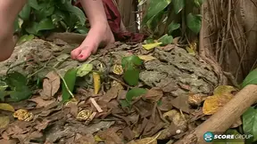 Forest Foot Fairy