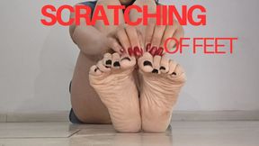 Sudden scratching of feet