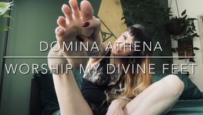 Worship My Divine Feet