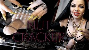 CBT NUT CRACKER – Cracking Your Nuts For Cum