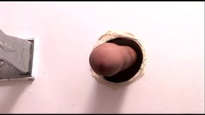 Aiden and Sara Love Swapping Jizz At Their Audition