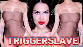 TRIGGERSLAVE