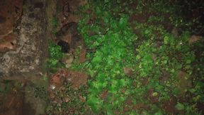 Nothing Is as Good as Midnight Masturbation