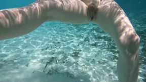 la video du dimanche, petit exhib dans les eaux chaudes des maldives. c est ...