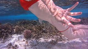 la video du dimanche, petit exhib dans les eaux chaudes des maldives. c est ...