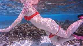 la video du dimanche, petit exhib dans les eaux chaudes des maldives. c est ...