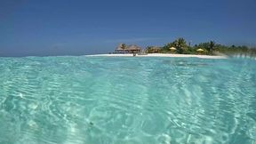 la video du dimanche, petit exhib dans les eaux chaudes des maldives. c est ...