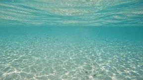 la video du dimanche, petit exhib dans les eaux chaudes des maldives. c est ...