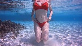 la video du dimanche, petit exhib dans les eaux chaudes des maldives. c est ...