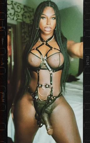 Tranny Thotiana Vixen