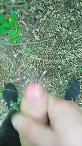 Key moment from &quot;wank cruise. jerking off quickly in the woods until mom sees&quot;