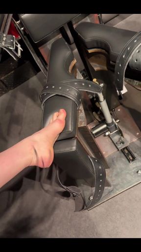 Some Videos From My Dungeon